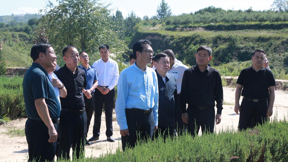 党双忍赴延安市、渭南市调研国家储备林建设、乡村振